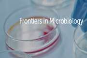 Toward waterborne protozoa detection using sensing technologies