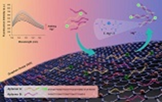 Mercury (II) sensing using a simple turn-on fluorescent graphene oxide based aptasensor in serum and water samples {faces}