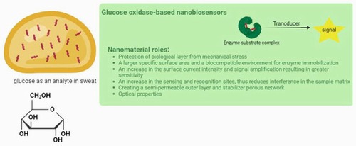 The Role of Nanomaterials in the Wearable Electrochemical Glucose Biosensors for Diabetes Management